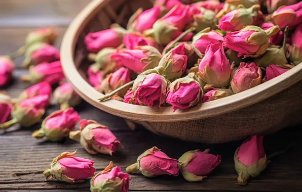 Flower, flowers, table, Board, rose, roses, pink, placer