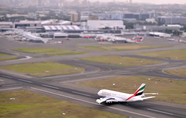 Picture The plane, Airport, Strip, Day, Aviation, The view from the top, A380, The rise