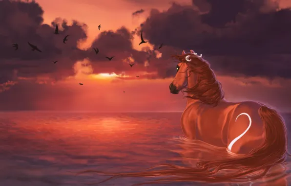 Water, clouds, sunset, birds, horse, painting, sunset, water