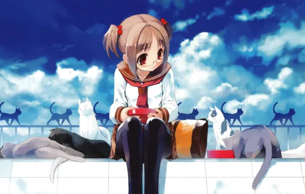 The sky, clouds, cats, anime, glasses, girl, uniform