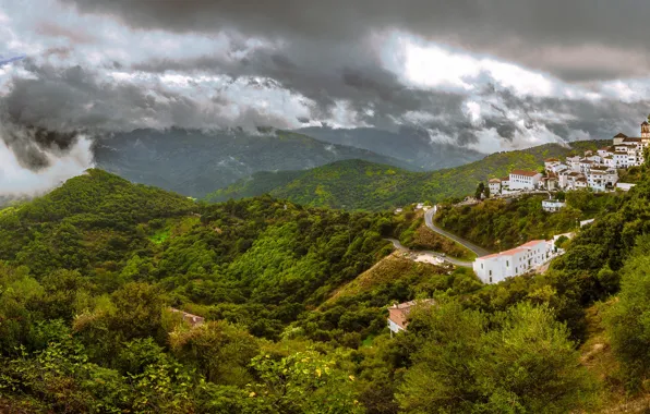 Greens, forest, summer, the sky, clouds, landscape, mountains, nature