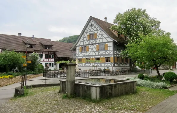Switzerland, Kaiserstuhl, Emperor chair