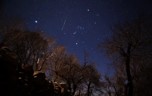 Stars, meteor, Geminids, Iran