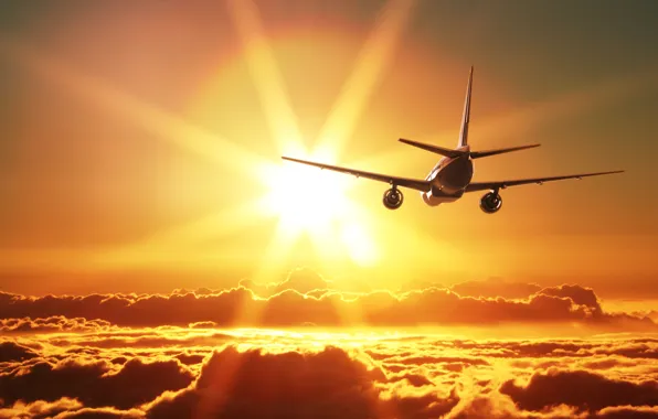 Picture the sky, the sun, clouds, rays, the plane, beauty, flies