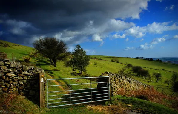 Field, clouds, gate
