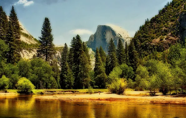 Forest, the sky, clouds, trees, mountains, rock, river, Yosemite