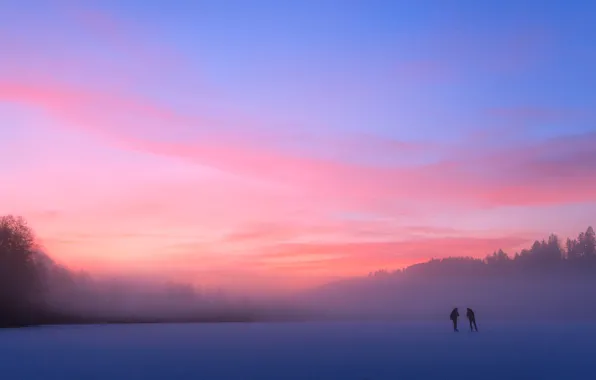 Cold, winter, forest, landscape, nature, fog, lake, pond