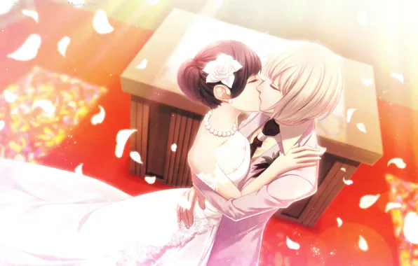 Kiss, train, petals, Church, beads, the altar, art, wedding