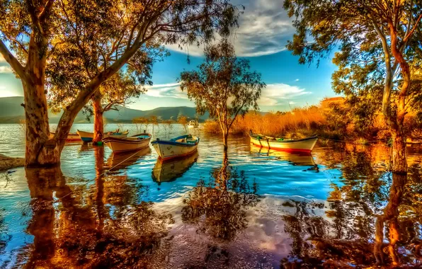 Picture the sky, trees, mountains, lake, boats