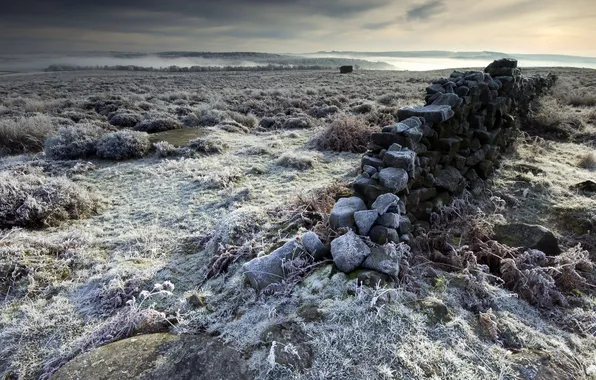 Frost, field, landscape, the fence