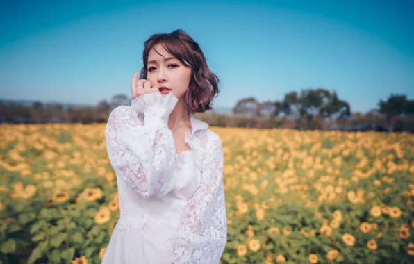 Field, look, girl, sunflowers, pose, hand, Asian, white dress