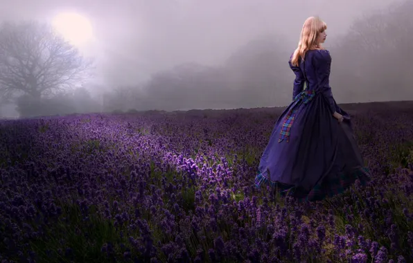 Picture field, girl, lavender