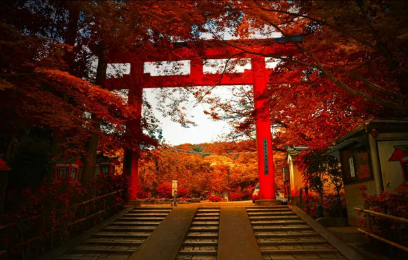 Picture autumn, gate, Japan, ladder, Japan