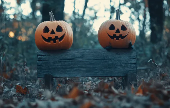 Autumn, holiday, pumpkin, pumpkin, Halloween, Halloween, smiley, Jack