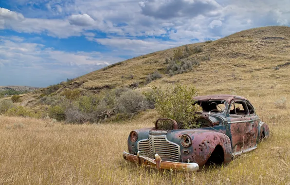 Machine, nature, scrap