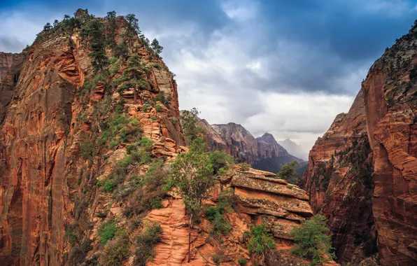 Picture clouds, trees, mountains, stones, rocks, canyon, USA, Zion National Park