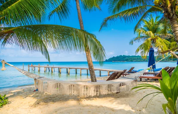 Picture sea, beach, nature, tropics, palm trees, stay, blue water