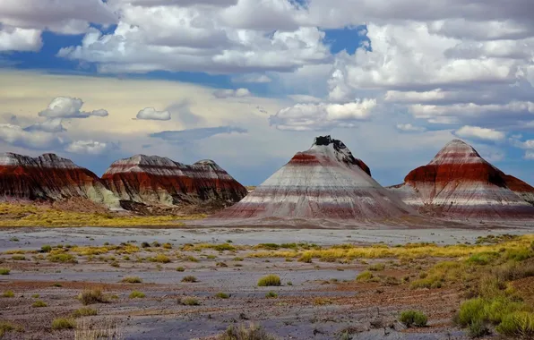 Picture mountains, rocks, paint, AZ, USA, Petrified Forest National Park