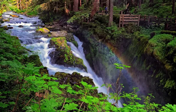Picture forest, river, waterfall, rainbow, Washington, Olympic National Park, Sol Duc Falls