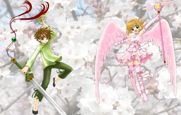 Boy, girl, Card Captor Sakura, Sakura - collector cards