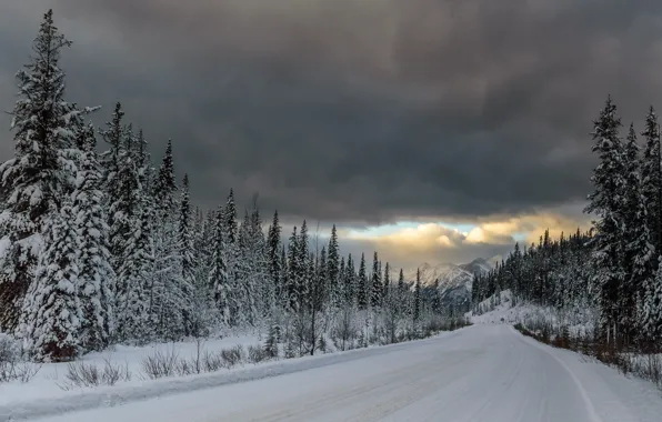Road, forest, snow, mountains, clouds, ate