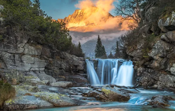 Forest, the sky, the sun, clouds, trees, mountains, fog, stones