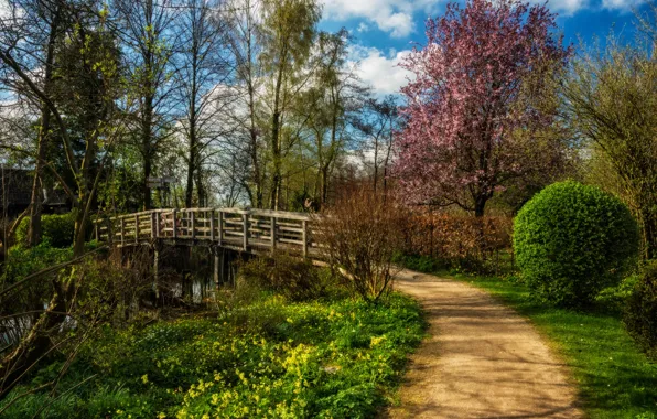 The sky, grass, the sun, clouds, trees, bridge, spring, track