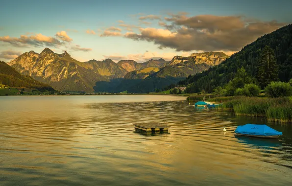 Picture forest, the sky, clouds, trees, mountains, lake, shore, boats