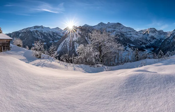 Winter, forest, snow, mountains, The sun, ray