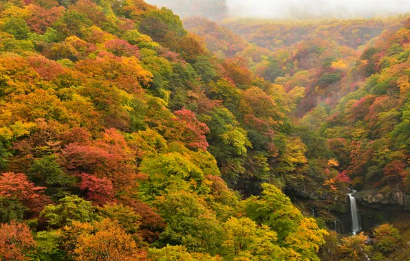 Autumn, forest, trees, waterfall, slope