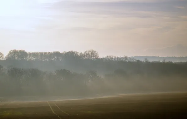 Picture road, field, the sky, rays, light, trees, nature, landscapes