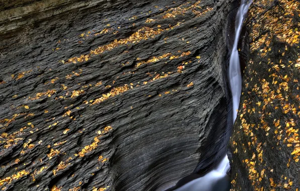 Nature, stream, rocks