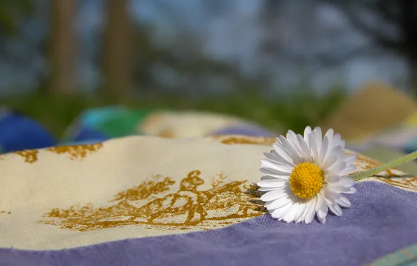 Picture nature, Daisy, fabric