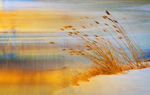 Picture sand, grass, nature, shore, touch