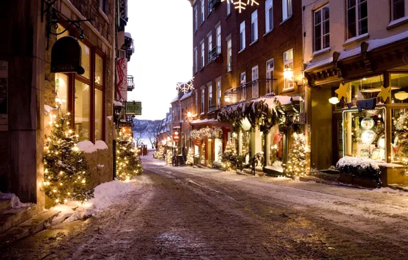 Winter, road, street, tree, new year, home, Christmas, lane