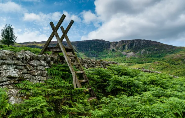Wales, Snowdonia, Ganllwyd, Ladder stile at Coed Ganllwyd