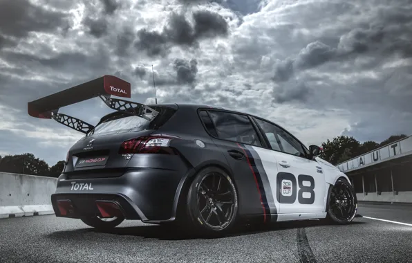 Race, Peugeot, Peugeot, 308, 2016, Racing Cup