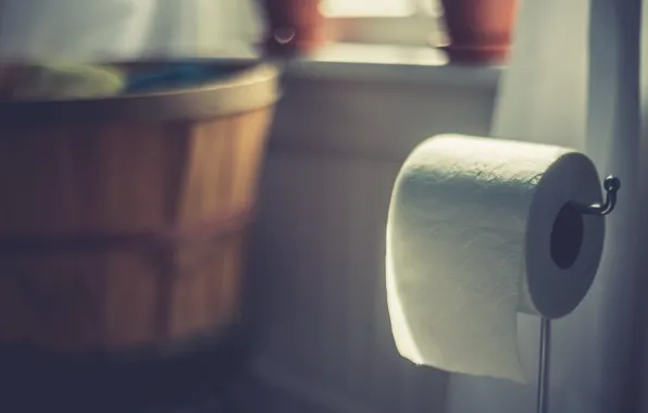 Paper, background, naturalism