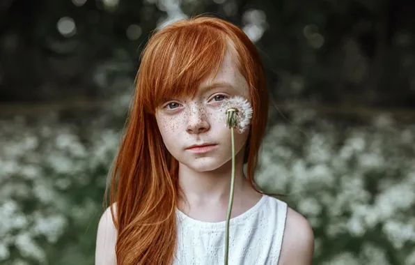 Wallpaper girl, freckles, dandelion, ginger, Olga Gridina