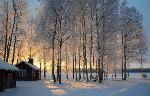 Picture winter, snow, trees, sunrise, hut, birch, Finland, Finland