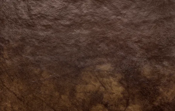 Picture background, texture, leather, texture, brown, brown, background, leather