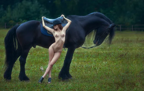 Field, chest, grass, trees, sexy, model, horse, naked