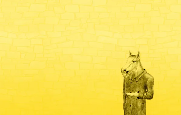 Picture minimalism, yellow background, the horse's coat