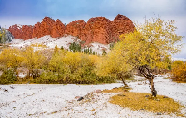 Picture Rocks, Trees, Snow, Kyrgyzstan, Issyk-Kul, Kyrgyzstan, Issyk-Kul Lake, Red rock Seven Bulls