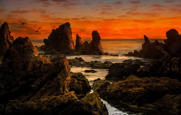 Landscape, sunset, birds, nature, stones, the ocean, rocks, CA