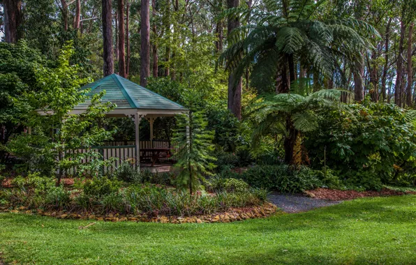 Greens, grass, trees, Park, lawn, Australia, gazebo, the bushes