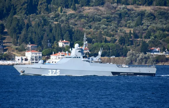 Ship, The Bosphorus, patrol, Dmitry Rogachev