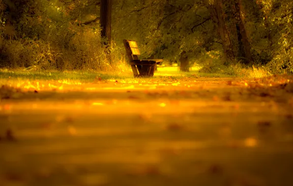 Road, autumn, leaves, light, trees, nature, mood, Bench