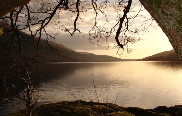 Picture lake, branch, arch