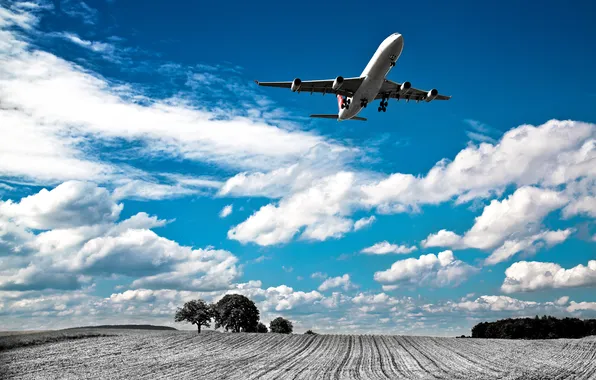 Field, the sky, clouds, trees, the plane, arable land